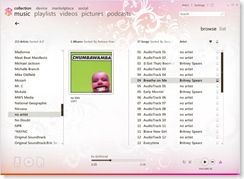 Zune Software Bug
