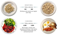 monkey menu