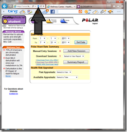 Polar Fixing IE9 Polar Fixing IE9